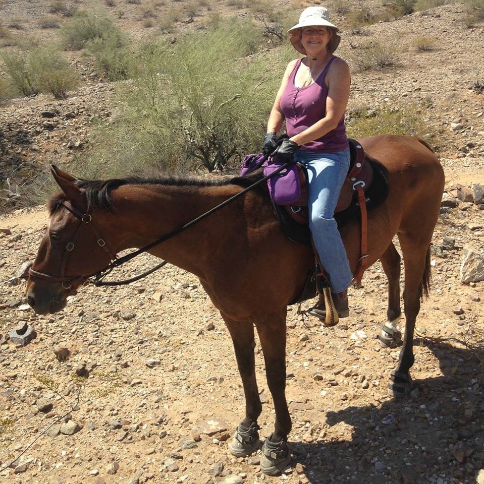 The Enlightened Horse is a Laveen -based equine welllness provider.