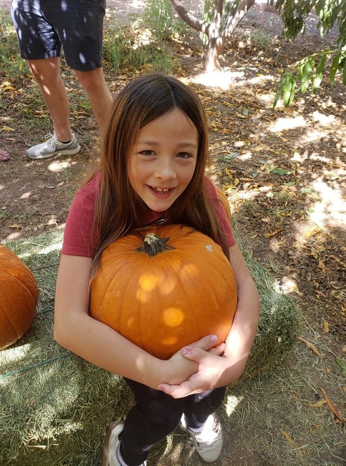 Pumpkin Patch at Amadio Ranch open all October.