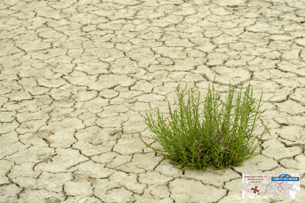 How to adapt your social media strategy
