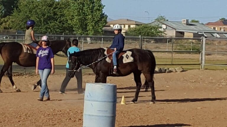 12322787 838144086312369 6382967676170203839 o 768x432