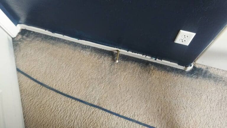 14199434 528655897329394 5511671091044744690 n 1 768x432