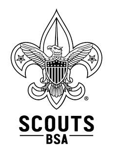 Find it Scouts BSA logo