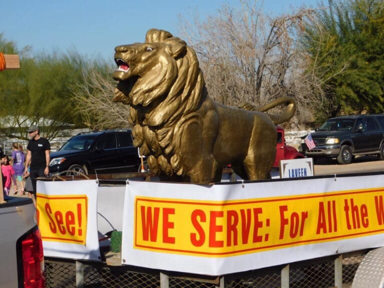 Laveen Lions CLub photo 3 768x576