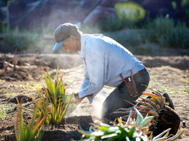 Spaces of Opportunity 4 1