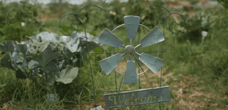 Spaces of Opportunity Feature Photo FInd it in Lavwen 768x372